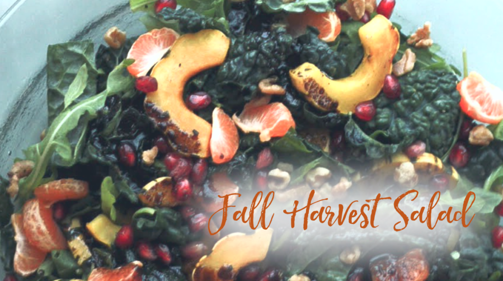 Recipe: Fall Harvest Salad