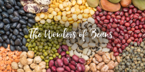 Beans benefits